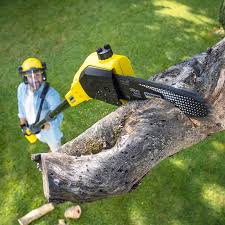 Best Aeration Services  in Hartford, WI